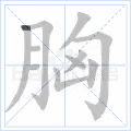 胸 字笔顺
