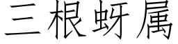 三根蚜属 (仿宋矢量字库)