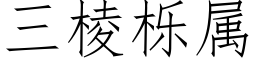 三棱栎屬 (仿宋矢量字庫)