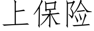 上保險 (仿宋矢量字庫)