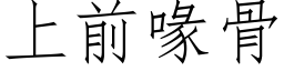 上前喙骨 (仿宋矢量字库)