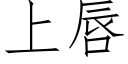 上唇 (仿宋矢量字庫)