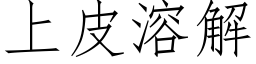 上皮溶解 (仿宋矢量字库)