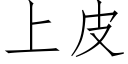 上皮 (仿宋矢量字库)