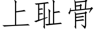上耻骨 (仿宋矢量字库)