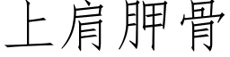 上肩胛骨 (仿宋矢量字库)