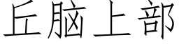 丘腦上部 (仿宋矢量字庫)