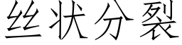 丝状分裂 (仿宋矢量字库)