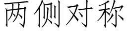 两侧对称 (仿宋矢量字库)