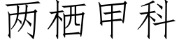 兩栖甲科 (仿宋矢量字庫)