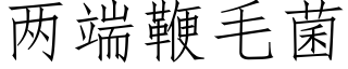 兩端鞭毛菌 (仿宋矢量字庫)