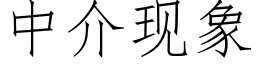 中介現象 (仿宋矢量字庫)