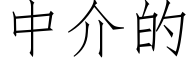 中介的 (仿宋矢量字库)