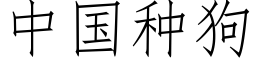 中國種狗 (仿宋矢量字庫)