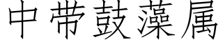 中帶鼓藻屬 (仿宋矢量字庫)