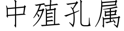 中殖孔屬 (仿宋矢量字庫)