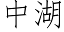 中湖 (仿宋矢量字库)