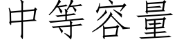 中等容量 (仿宋矢量字庫)