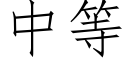 中等 (仿宋矢量字庫)