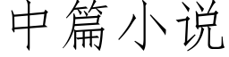 中篇小說 (仿宋矢量字庫)