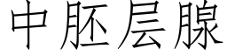 中胚層腺 (仿宋矢量字庫)