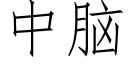 中腦 (仿宋矢量字庫)