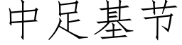 中足基節 (仿宋矢量字庫)