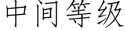 中间等级 (仿宋矢量字库)