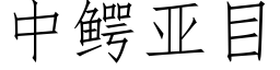 中鳄亚目 (仿宋矢量字库)