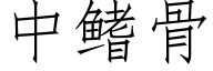 中鳍骨 (仿宋矢量字库)