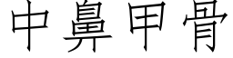 中鼻甲骨 (仿宋矢量字库)