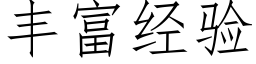 豐富經驗 (仿宋矢量字庫)