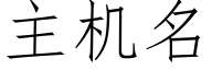 主機名 (仿宋矢量字庫)