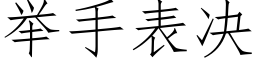 举手表决 (仿宋矢量字库)