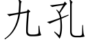 九孔 (仿宋矢量字库)