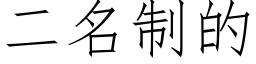 二名制的 (仿宋矢量字庫)