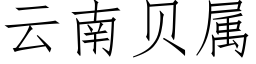 云南贝属 (仿宋矢量字库)