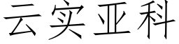 雲實亞科 (仿宋矢量字庫)