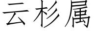 云杉属 (仿宋矢量字库)