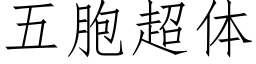 五胞超体 (仿宋矢量字库)