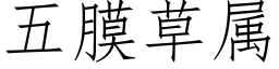 五膜草属 (仿宋矢量字库)