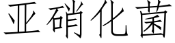 亚硝化菌 (仿宋矢量字库)