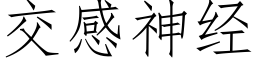 交感神经 (仿宋矢量字库)