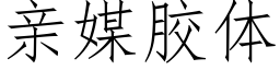 親媒膠體 (仿宋矢量字庫)