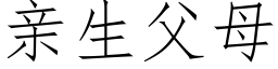 亲生父母 (仿宋矢量字库)