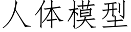 人體模型 (仿宋矢量字庫)