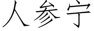 人參甯 (仿宋矢量字庫)