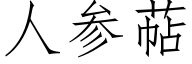 人參萜 (仿宋矢量字庫)