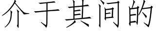 介于其间的 (仿宋矢量字库)