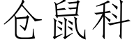 仓鼠科 (仿宋矢量字库)